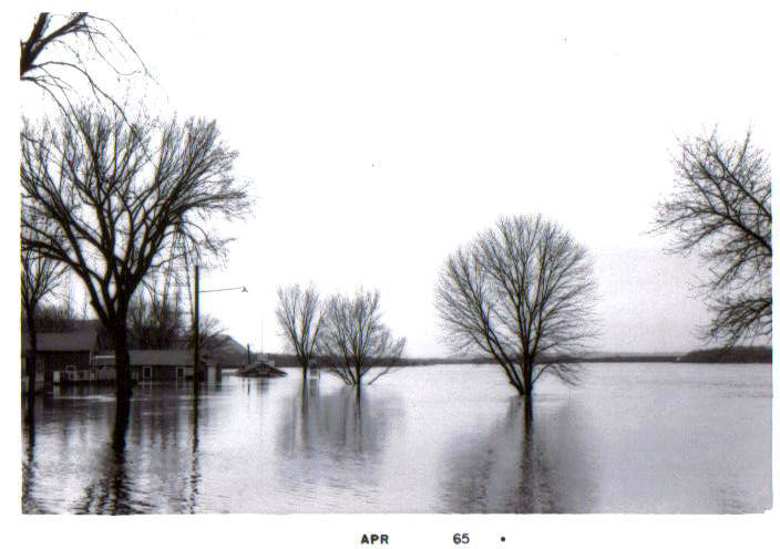 Pieces of the Past - 1965 Flood